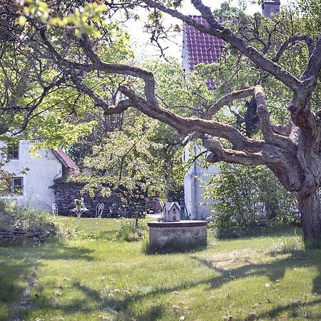 Hotel Stelor Gotlands Tofta Zewnętrze zdjęcie